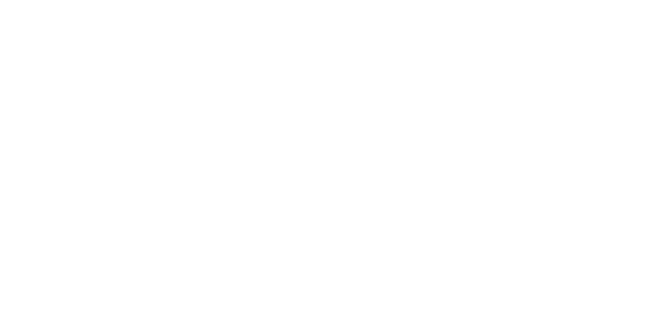Lexus Hồ Chí Minh